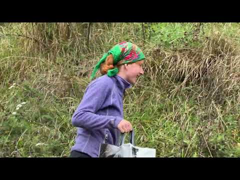 Видео: Сільське життя осіннього дня, в серці Карпат. Життя в горах ⛰️