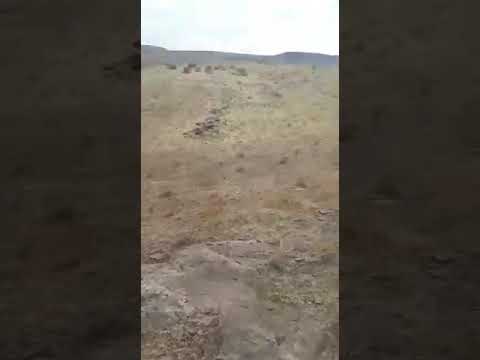 Видео: Жамбыл облысы, Талас ауданы, Қызыләуіт ауылындағы тарихи жер Тас құдық. Әбдімүтәлі Баяқовтың  архиві