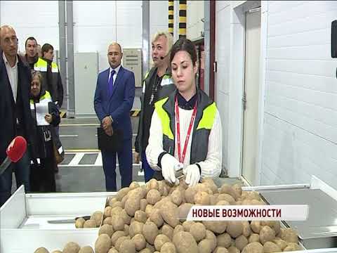 Видео: В Ярославле открылся распределительный центр «Х5 Ритейл Групп».