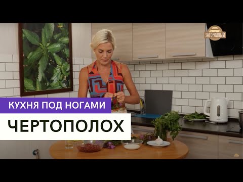 Видео: Чертополох \ Кухня под ногами