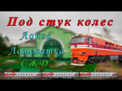 Видео: Под стук колес. Ранее утро. Лойга - Ломоватка
