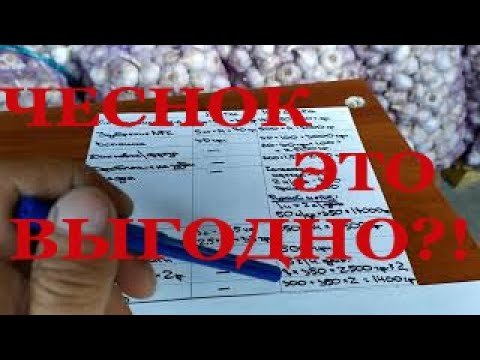 Видео: РЕНТАБЕЛЬНОСТЬ ЧЕСНОКА. ВЫГОДНО? Расчеты в цифрах от А до Я.