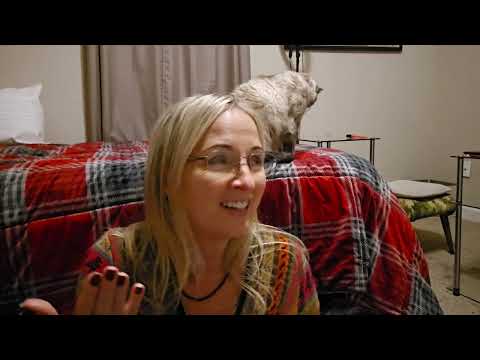 Видео: Попытались бы вы убедить этого человека?