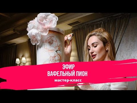 Видео: Вафельный Пион