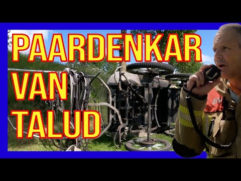 Видео: Лошадь с телегой из Талуда - ДОБРОВОЛЬЦЫ ГОЛЛАНДСКИХ ПОЖАРНЫХ -