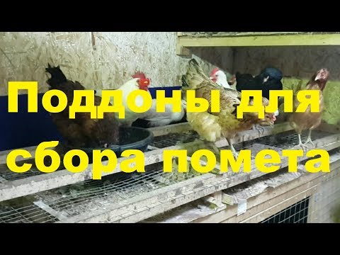 Видео: Вечные поддоны в курятник. Дешево и удобно.