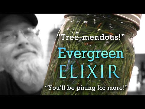 Видео: Самогон из сосновых иголок!