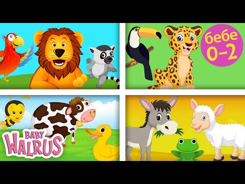 Видео: Забавление за малки деца – Учим животните от джунглата и фермата 🐑  🦜