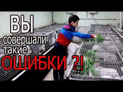 Видео: 10 ОСНОВНЫХ ОШИБОК НАЧИНАЮЩЕГО КРОЛИКОВОДА.