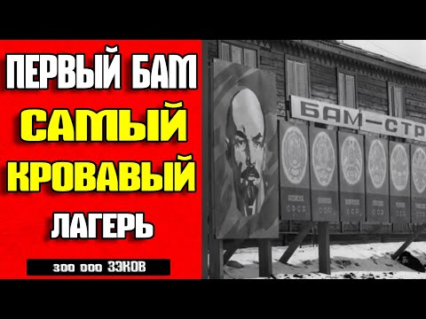Видео: 😱 ШОК! 300 000 ЗЭКОВ ГУЛАГА ПОСТРОИЛИ БАМ — ДОРОГУ В НИКУДА! ПРАВДА, ОТ КОТОРОЙ ВЗОРВЁТ МОЗГ