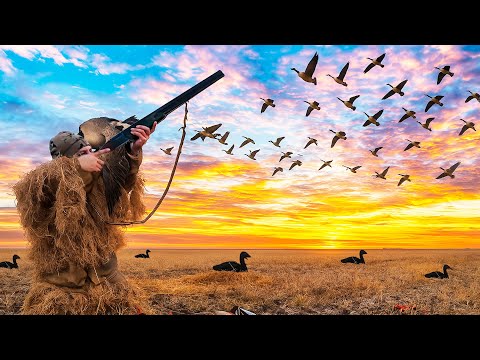 Видео: СЕЛЕЗЕНЬ УДАРИЛ💥 В ЛИЦО!!! Невероятная охота на уток — такого я не ожидал! 🦆🔥 Охота в сумерках.