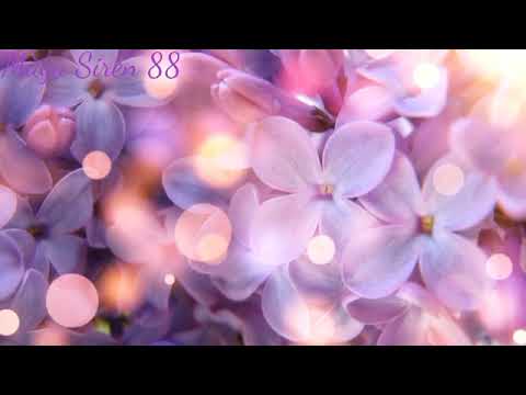 Видео: Анжелика Начесова Черная Ночь