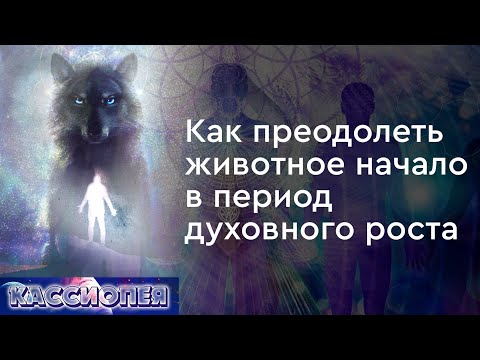 Видео: #107 Как преодолеть животное начало в период духовного роста. Практика соединения с Высшим Я.