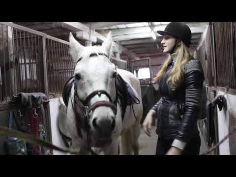 Видео: VLOG Настю не слушается лошадь. Мы в конном клубе