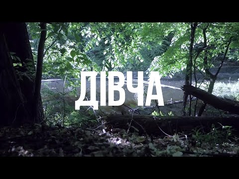 Видео: ZWYNTAR - Дівча (Divcha) [Official Lyrics Video]