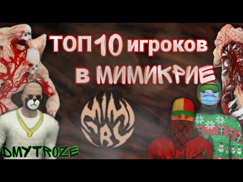 Видео: 10 ТИПОВ ИГРОКОВ В ИГРЕ МИМИКРИЯ! ТИПЫ ИГРОКОВ В МИМИКРИЕ! MIMICRY! | #mimicry | #63