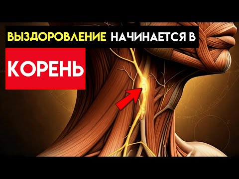 Видео: Блуждающий нерв: Биологический кодекс творения (активировать сейчас)