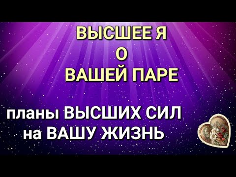 Видео: ВЫСШЕЕ Я О ВАШЕЙ ПАРЕ,ЧТО РАСКРОЮТ ВЫСШИЕ СИЛЫ В ОТНОШЕНИИ ВАС,КАКУЮ ПЛАНКУ ВЫСОТЫ ВЫ СЕБЕ ПОСТАВИЛИ