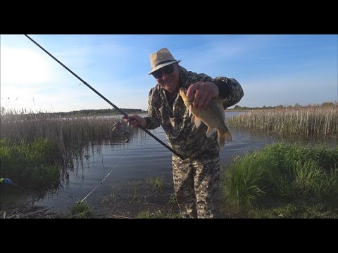 Видео: БЫТ В ДЕРЕВНЕ||КОСИМ,КРАСИМ И ЛОВИМ РЫБУ