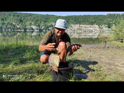 Видео: Ловля карпа на реке Днестр (Новоднестровская водохранилище) флэт метод