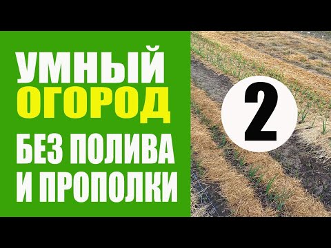 Видео: Умный Огород - 2 ч. Не Нужно Поливать И Пропалывать. Урожайный Огород