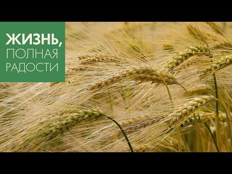 Видео: Джойс Майер: В 30, 60 и во 100 крат… ч. 1