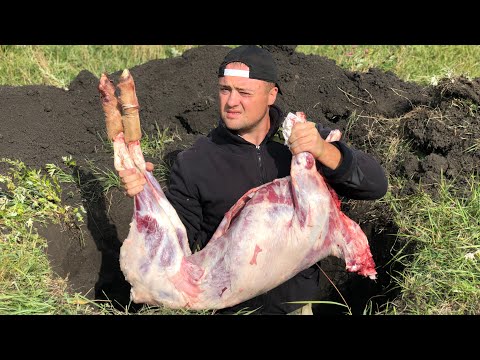 Видео: Мясо целого барана запечённое в земле!!!Калмыцкий Кюр!!!Мясо в Желудке!!!
