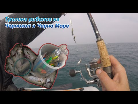 Видео: Тролинг риболов на чернокоп в Черно море / Black sea bluefish