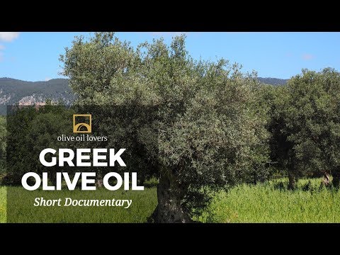 Видео: Искусство изготовления греческого оливкового масла