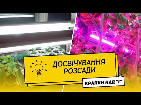 Видео: Світло для розсади: коли, скільки, чим та як досвічувати