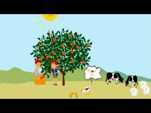 Видео: Четирите сезона