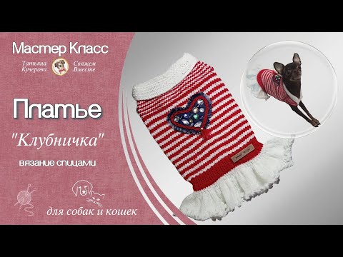 Видео: Платье для собаки спицами, diy dress for dog