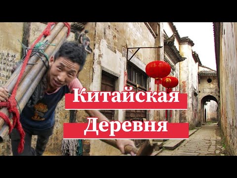 Видео: Миллионер бросил все и уехал жить в деревню🇨🇳 жизнь в китайской деревне 🎎 #китай #деревня #миллионер