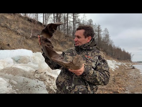 Видео: Находка после ледохода Якутия река Вилюй