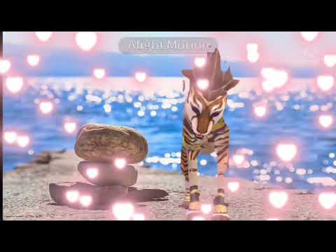 Видео: Клип тебя удача найдёт||для всех❤,для Луны тоже:)