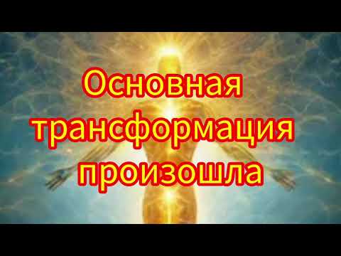 Видео: ТЕЛО ☘️ СОЗНАНИЕ                ☘️ ОЩУЩЕНИЯ 