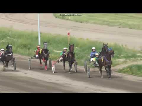 Видео: 31.05.2025г. Раменский Ипподром жеребцы и кобылы орловской породы рожд.  в 2021г.  1600м