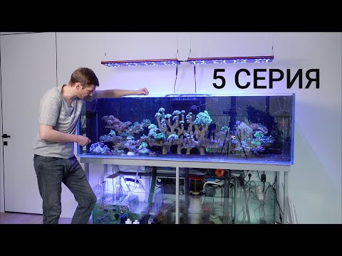 Видео: 5 СЕРИЯ Водоросли и борцы с ними