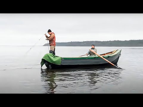 Видео: Рыбное дело. Часть 2 | С полем!