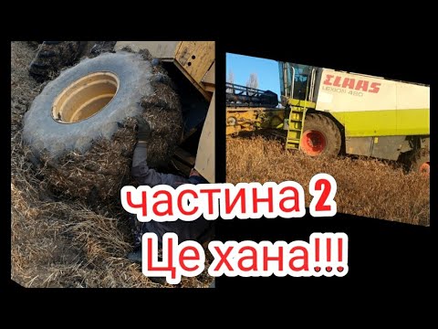 Видео: Молотим сою це хана❗CAT Lexion480 обрізало колесо❗Claas Lexion 480 застрягли JOHN DEERE 9770❗