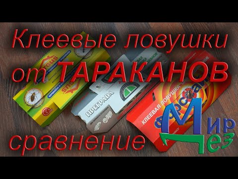 Видео: Клеевые ловушки от тараканов. Сравнение Аргус, Преграда, Форссайт