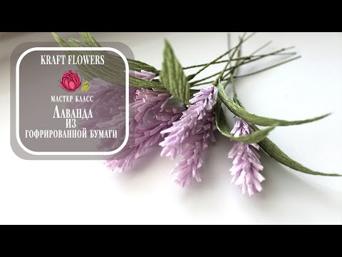 Видео: Лаванда из гофрированной бумаги