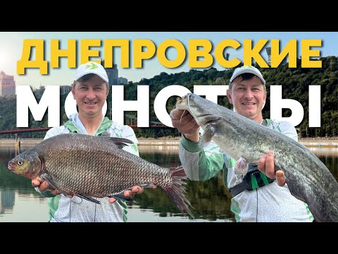 Видео: ❗️Раздача ЛЕЩЕЙ в Киеве❗️Монстры на набережной ⚠️ Клюют подводные лодки 🤯Все на Рыбалку!