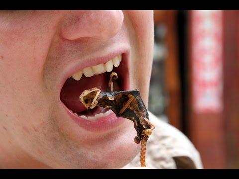 Видео: Фильм "КИТАЙ: Путь чая". 3 серия