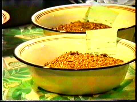 Видео: Как добывают золото на Колыме. Усть-Среднекан 1991, день металлурга.