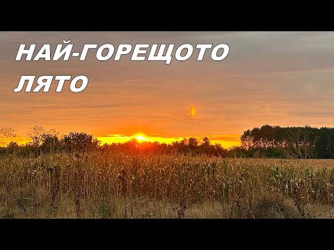 Видео: Летни ПРИКЛЮЧЕНИЯ по НАЙ - ДИВИТЕ места на РЕКАТА