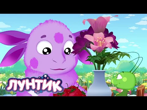 Видео: Лунтик | Букет 💐💐💐 Сборник мультиков для детей