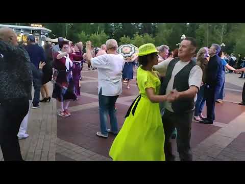 Видео: Белая верба... 22.07.23