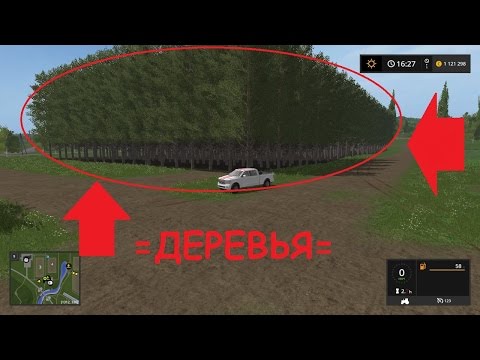 Видео: Как вырастить деревья!!!