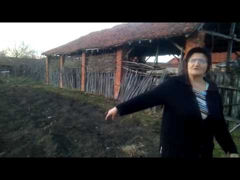 Видео: ПОСЕВ  ОВОЩЕЙ  В СЕРБИИ.